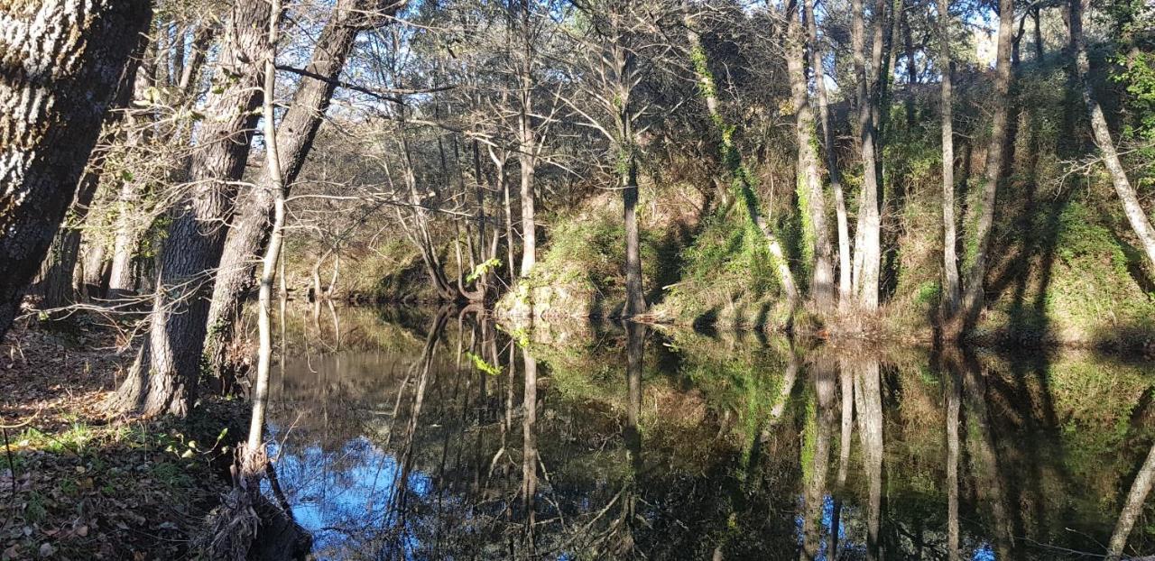Esencia De Gredos Casa de hóspedes Ramacastanas Exterior foto